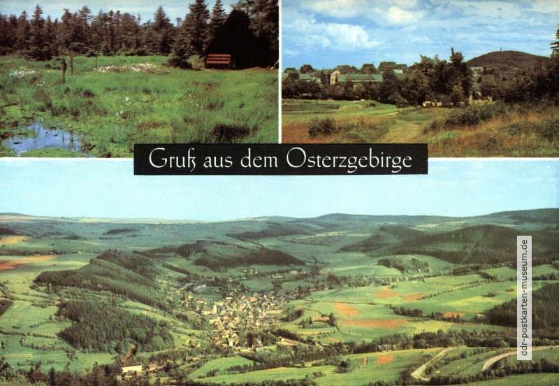 Georgenfelder Moor, Blick zum Geisingberg, Blick auf Geising - 1974