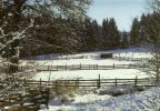Pferdekoppel im Winter - 1989