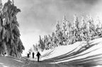 Skiwandern im Erzgebirge - 1967