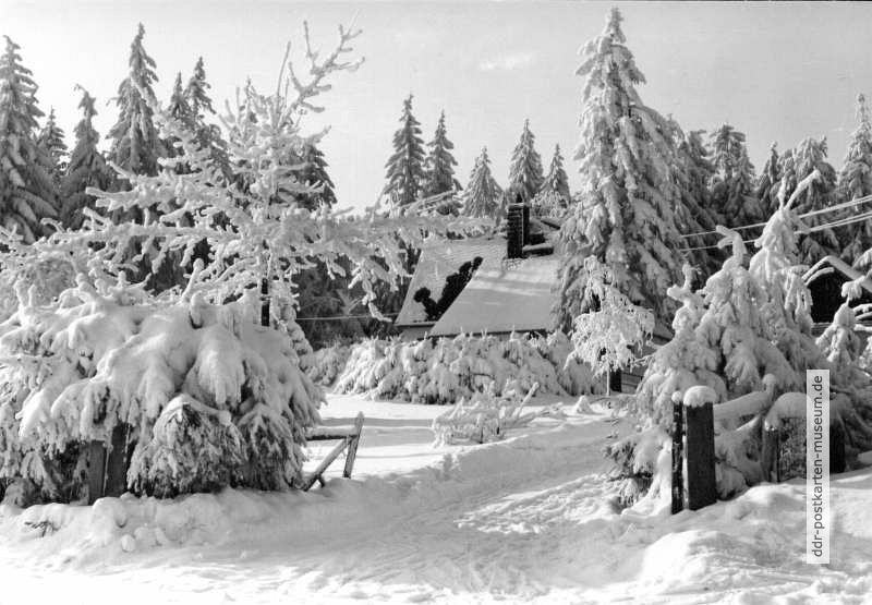 Winter im Osterzgebirge - 1982