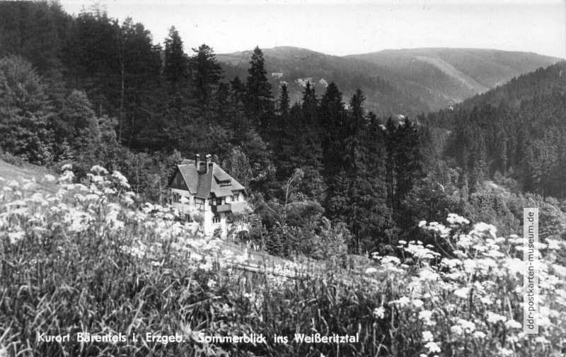 Kurort Bärenfels, Blick ins Weißeritztal - 1960