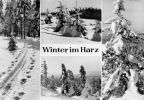 Winter im Harz - 1967 / 1981