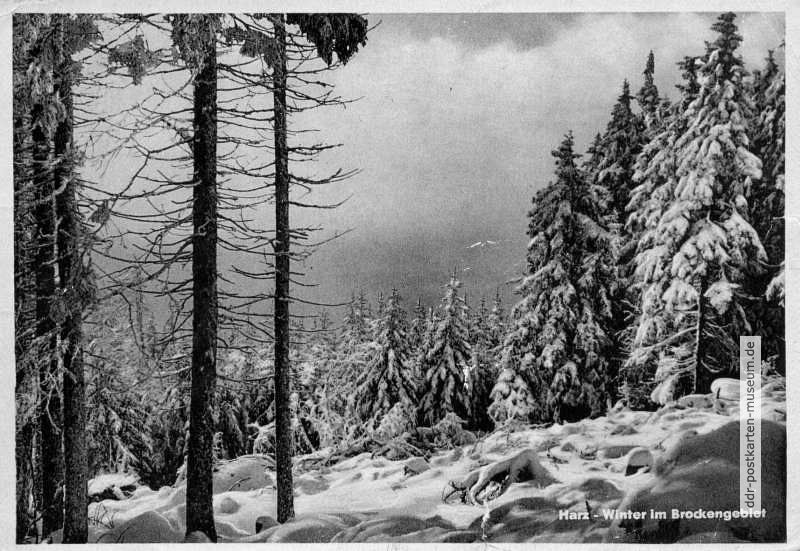 Harz-Winter im Brockengebiet - 1952