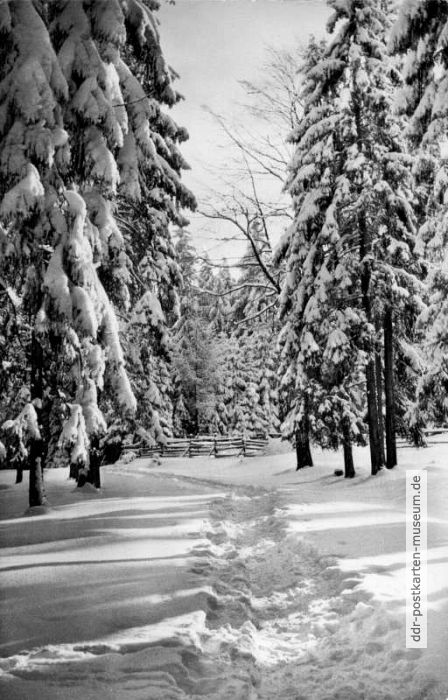 Winter im Harz - 1965