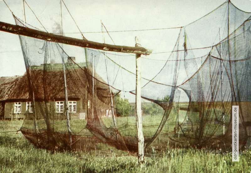 Darßer Fischerhaus mit abgehängten Reusen - 1970