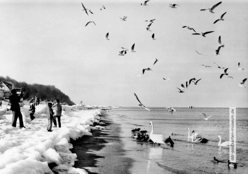 Winterzauber an der schönen Ostsee, Insel Usedom - 1979