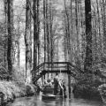 Holzbrücke im Spreewald - 1964