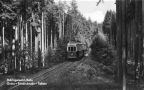 Thüringerwald-Bahn Gotha-Friedrichroda-Tabarz - 1958