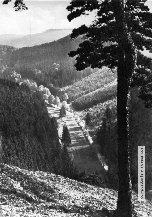Dietharzer Grund bei Tambach-Dietharz - 1962