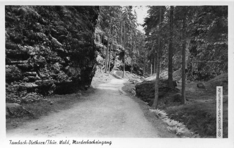 Marderbacheingang bei Tambach-Dietharz - 1956
