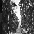 Felsengasse auf den Nonnenfelsen - 1958