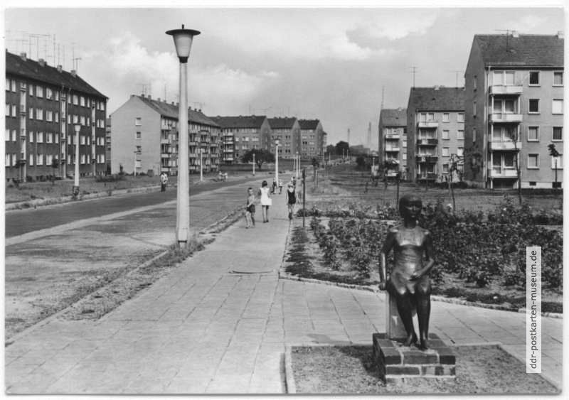 Lauchhammer-Neustadt, Neubaugebiet Bertolt-Brecht-Straße - 1968