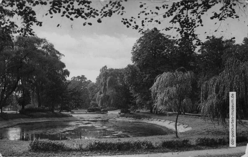 Park der Krankenanstalten Leipzig-Dösen - 1957
