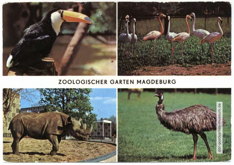 Zoologischer Garten Magdeburg - 1976