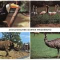 Zoologischer Garten Magdeburg - 1976