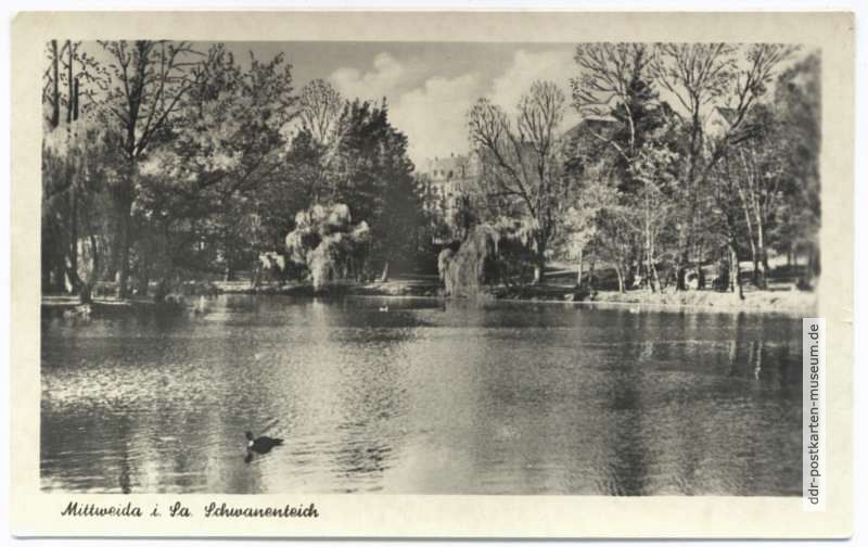 Schwanenteich - 1955