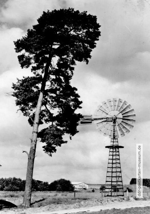 Windradmühle im Agrarhistorischen Museum in Alt Schwerin - 1979