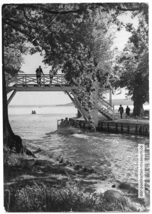 Oberbach am Tollensesee - 1963