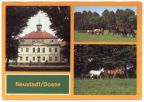 Schloß im VE Hauptgestüt, Stuten und Fohlen auf der Weide - 1982