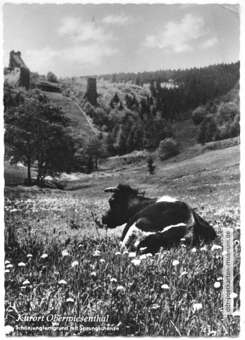 Schönjungferngrund mit Sprungschanze - 1959