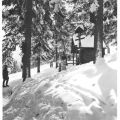 Wander- und Skihütte am "Eckbauer" - 1981