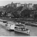 Dampfer "Wilhelm Pieck" der Weißen Flotte auf der Elbe - 1971 / 1972