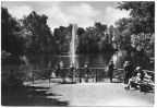 Teich im Stadtpark - 1973