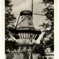 Park Sanssouci, Historische Mühle - 1955