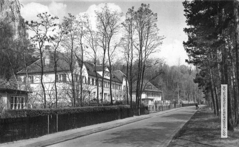 Mozartstraße am See - 1962