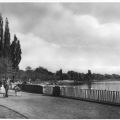Uferpromenade am Uckersee - 1969