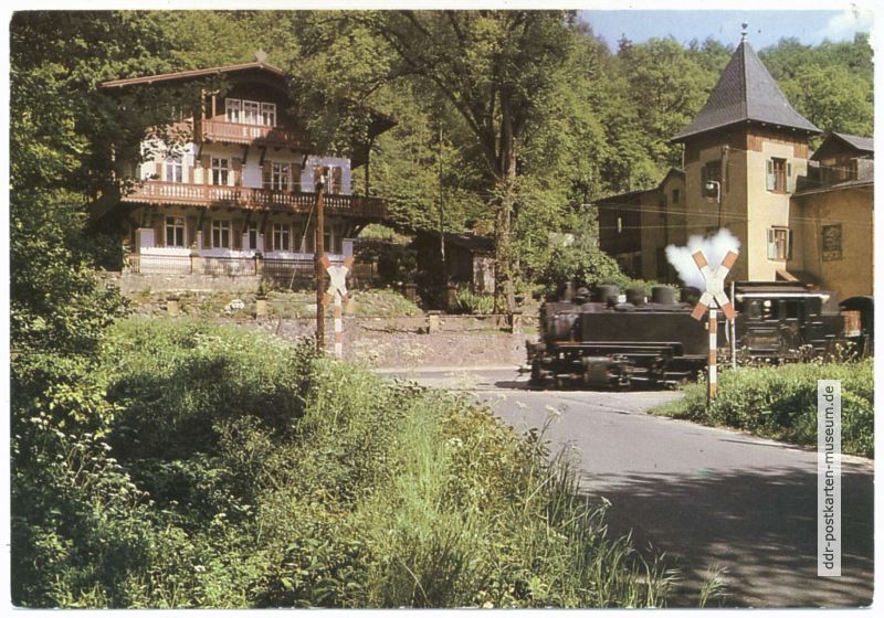Lößnitzgrund mit Kleinbahn - 1986