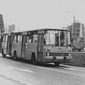Ikarus-Gelenkbus in der Bertold-Brecht-Straße - 1981 