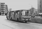 Ikarus-Gelenkbus in der Bertold-Brecht-Straße - 1981 