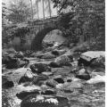 Brücke im Kalten Bodetal - 1963 / 1979