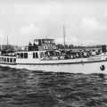 M.S. "Dornbusch" der Weißen Flotte Stralsund - 1961