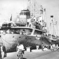 DDR-Frachtschiff "Albatros" im Hafen von Wismar - 1966