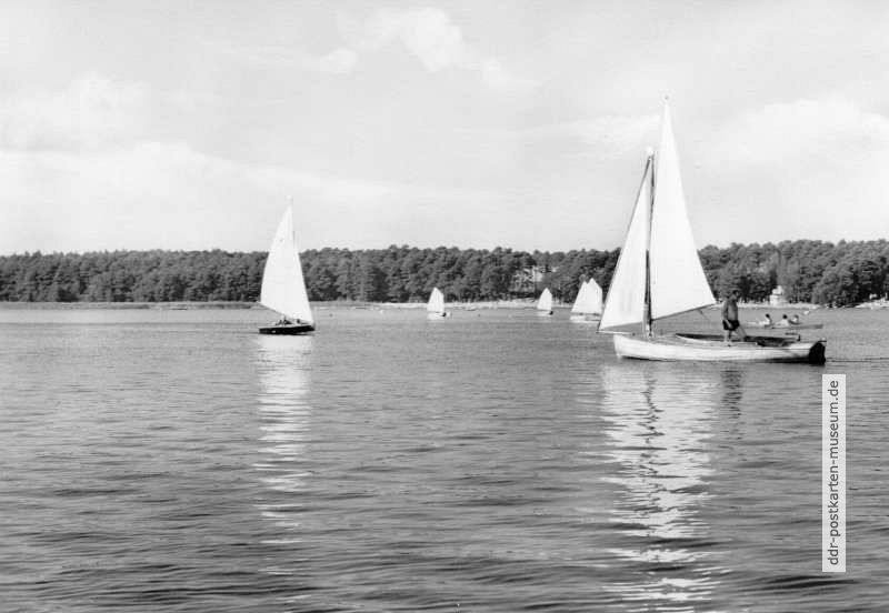 Segelboote auf dem Arendsee - 1974