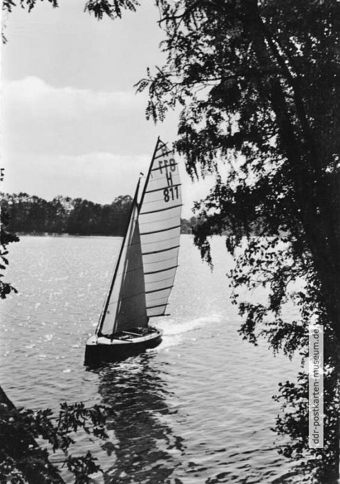 Segeln-1963b.JPG