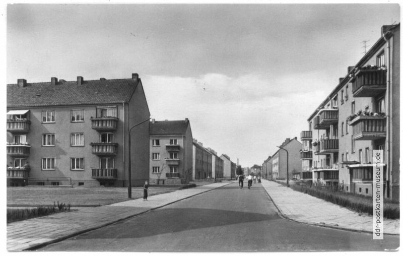 Schönebeck-Neustadt, Rosestraße - 1963