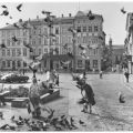 Tauben auf dem Markt - 1980