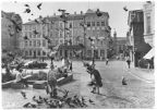 Tauben auf dem Markt - 1980