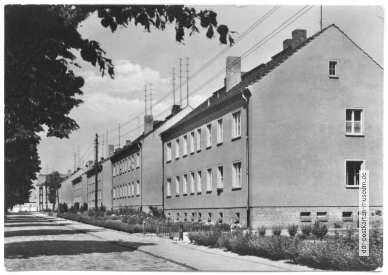 Neubauten an der Winckelmann-Straße - 1965