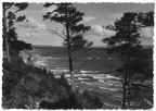 Blick zur See - 1959