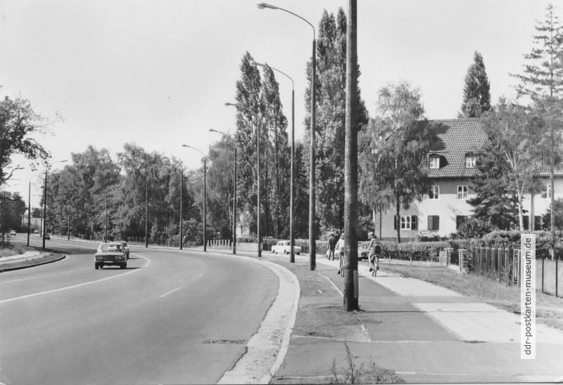 Stahnsdorf, Potsdamer Damm - 1979