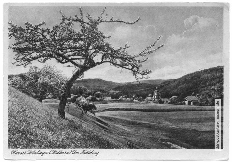 Kurort Sülzhayn im Frühling - 1950