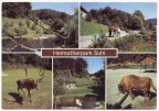 Heimattierpark Suhl - 1984
