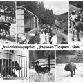 Naherholungsgebiet "Heimat-Tierpark Suhl" - 1980