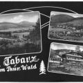 Blick nach Tabarz, Villen am Datenberg, Schweizerhaus - 1965