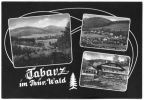 Blick nach Tabarz, Villen am Datenberg, Schweizerhaus - 1965
