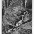 Röllchen im Schmalwassergrund - 1954